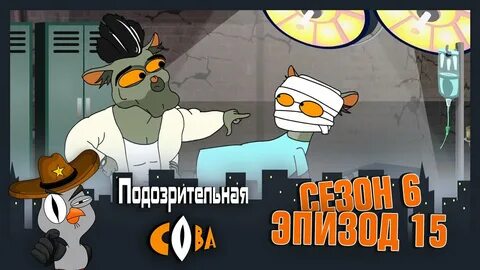 Видео подозрительные совы