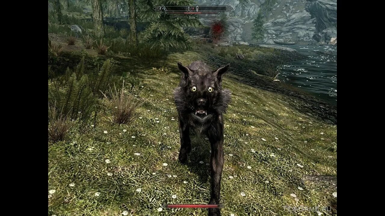 More nasty critters