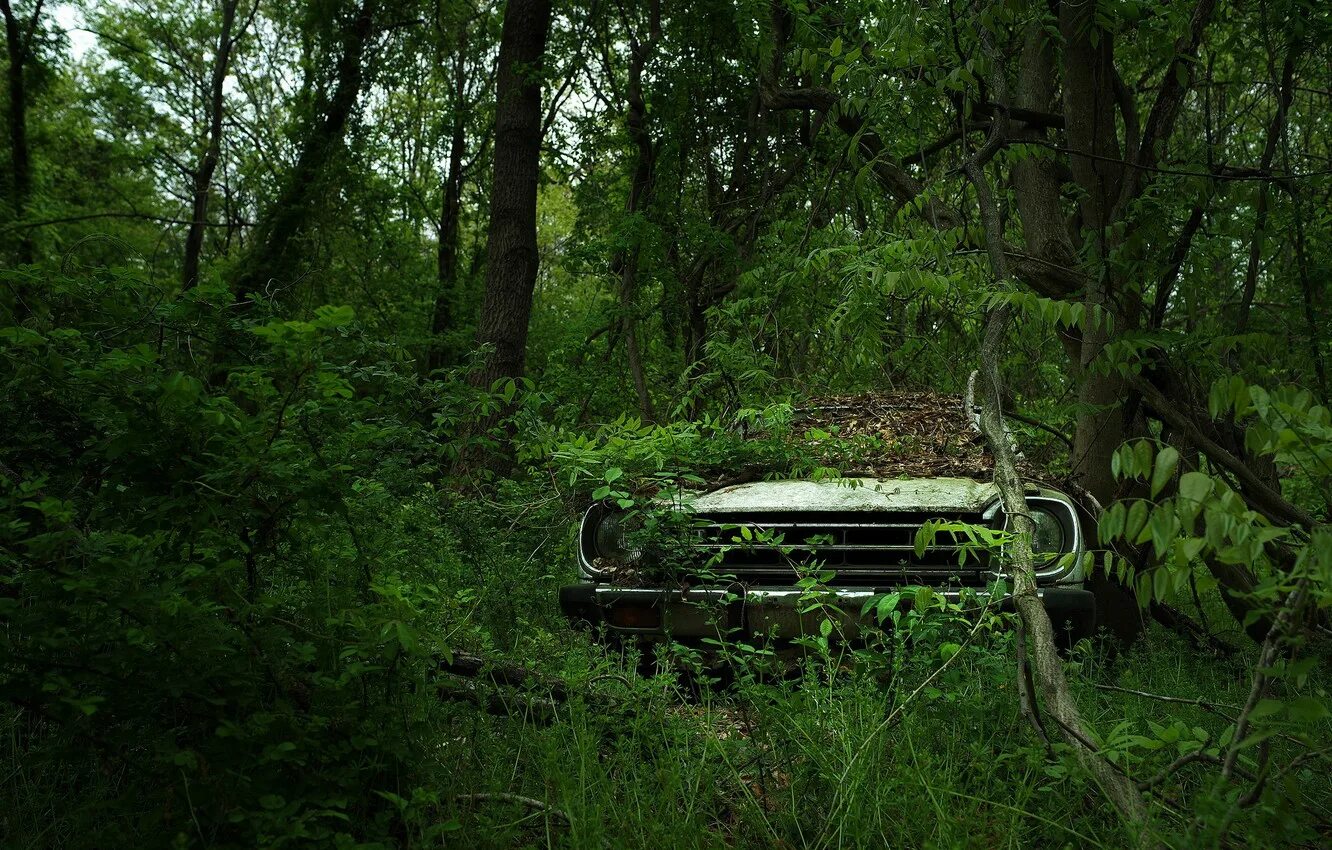 Текст заброшенная дорога. Заброшенный лес. Заброшенная заросшая машина. Заброшенные машины в лесу. Машина на природе.