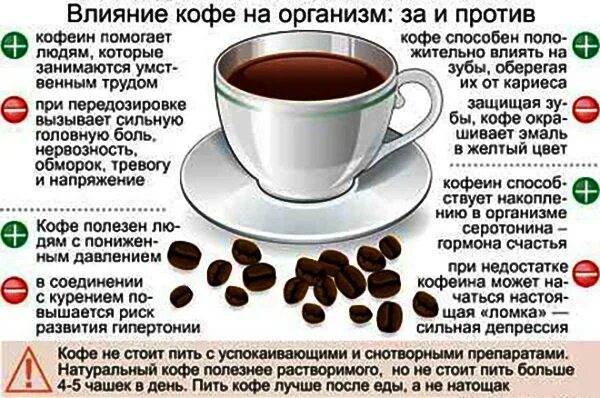 Сколько можно пить чашек кофе в день. Кофе повышает давление или снижает. кофе повышает или понижает давление. крепкий кофе и давление. сколько пить кофе в день для пользы.