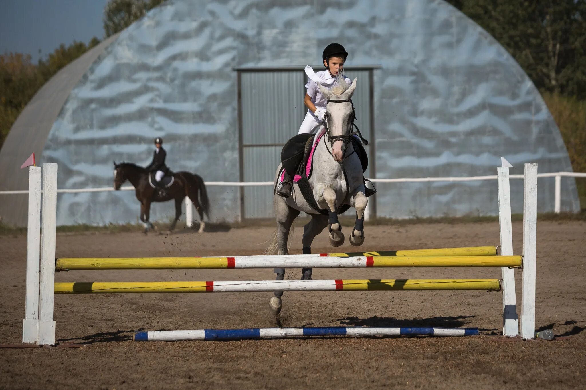 Дюсш по конному спорту. Элементы высшей школы верховой езды. Конные соревнования по преодолению препятствий. Конный спорт преодоление препятствий. Снаряды для конного спорта.