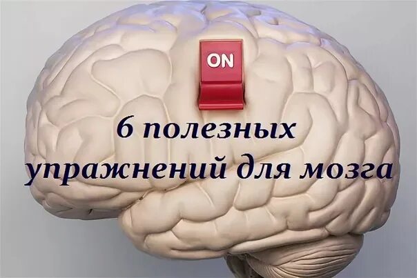 Гимнастика для улучшения памяти. Упражнения для мозга. Тренировка мозга и памяти. Интеллектуальные упражнения для мозга. Полезные упражнения для мозга.