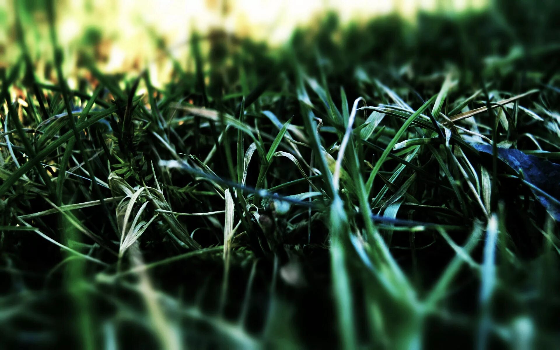 Grass desktop code