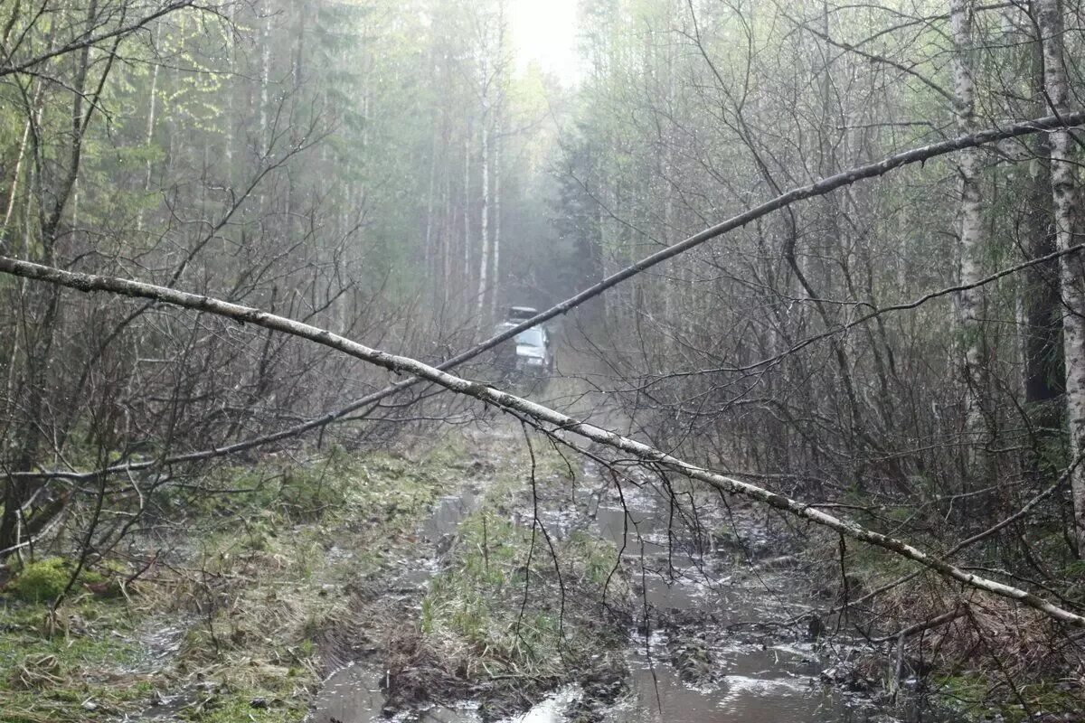 Унжлаг. Унжлаг ГУЛАГ. Унжлаг Варнавино. Унжлаг Костромская область. ГУЛАГ В Костромской области.