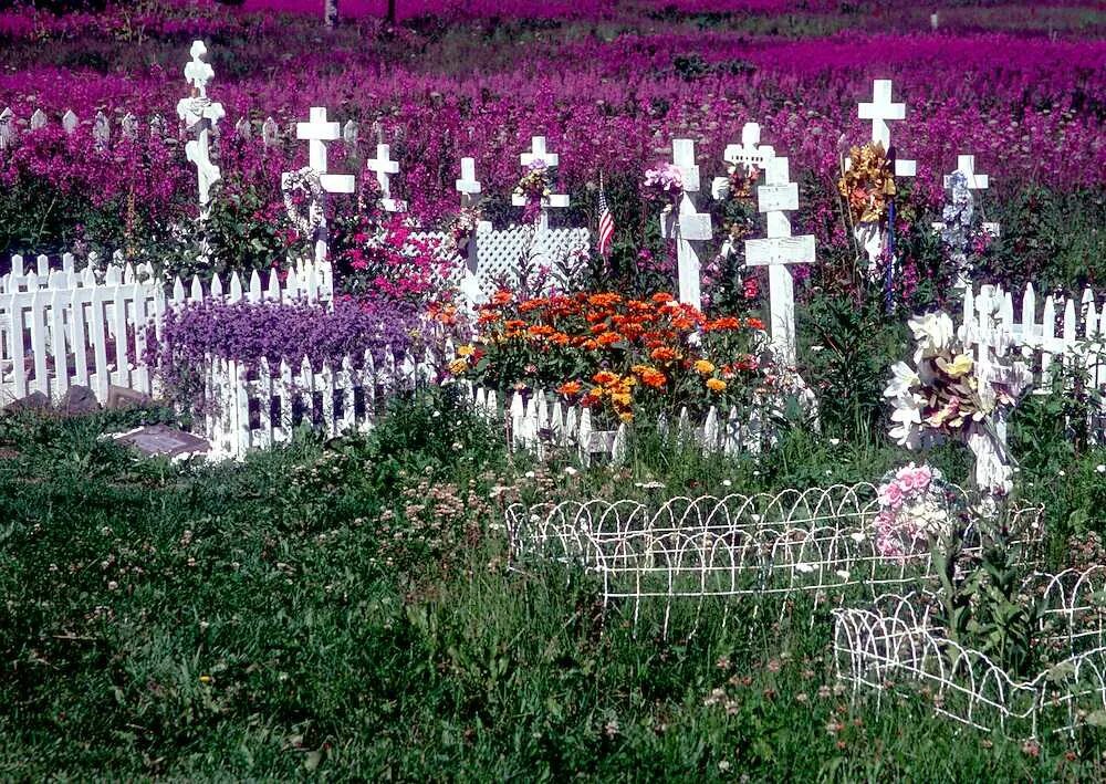 Названия многолетних цветов на могилы. Цветы на кладбище многолетние. Цветы растущие на кладбище. Цветы для могилок многолетние. Цветы на могилу.