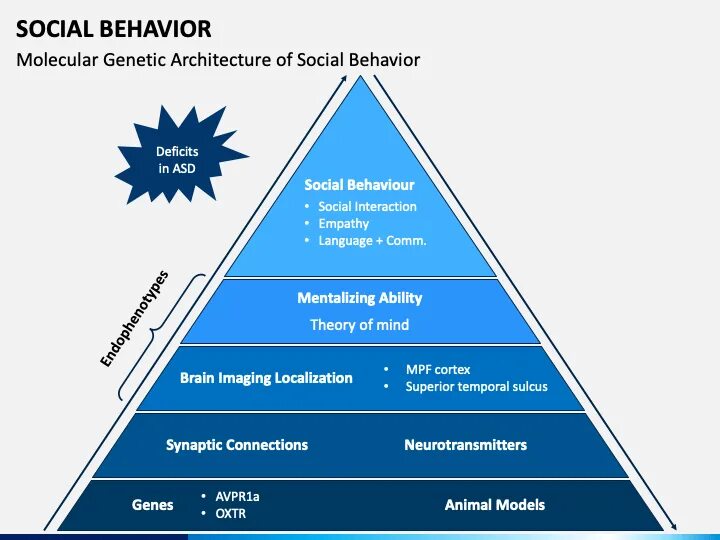 Society behavior. Affluent сегмент. Mass affluent сегмент это. Affluent сегментация клиентов. Affluent Mass affluent сегменты.