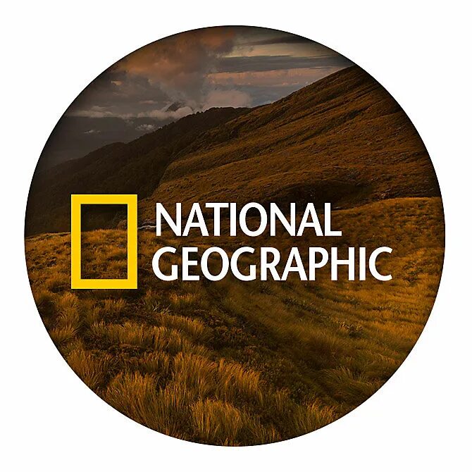 Национальная география логотип. National Geographic эмблема. Канал National Geographic. Журнал National Geographic логотипы.