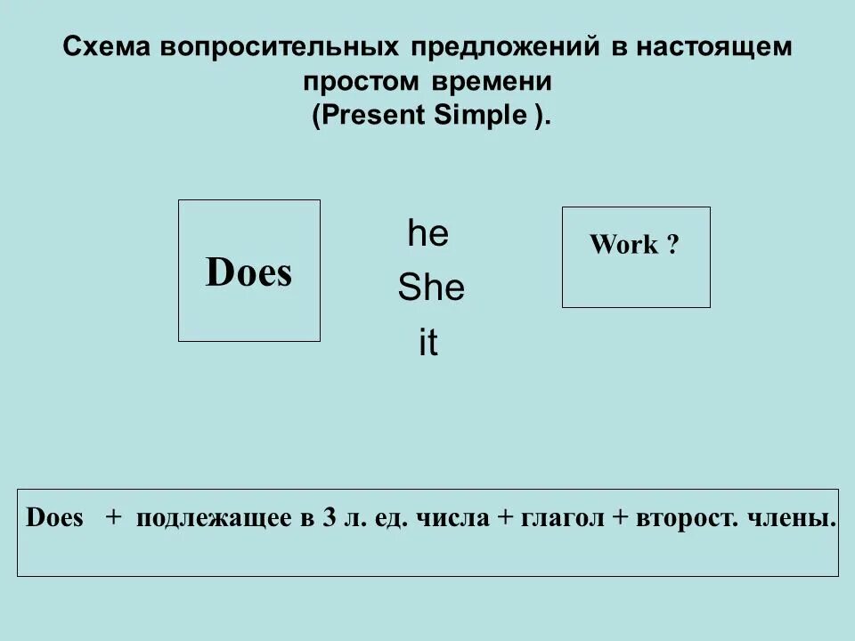 Схема вопросительного предложения. Схема вопросительного предложения в present simple. Схема вопросительного предложения предложения в present simple. Do does в вопросительных предложениях. Составьте предложения вопросительные do does