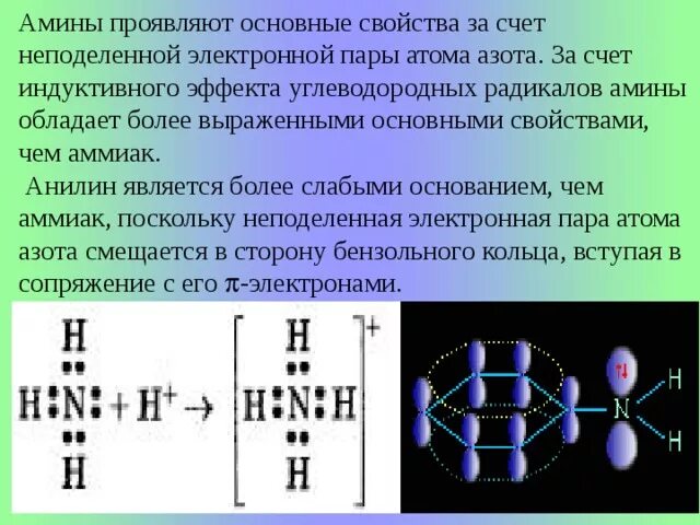 Неподеленные электронные пары. Общие электронные пары азота. Амины проявляют основные свойства. Аммиак неподеленная пара электронов. Аммиак состоит из азота и водорода