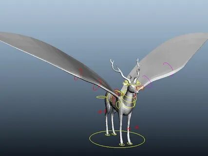Flying 3d