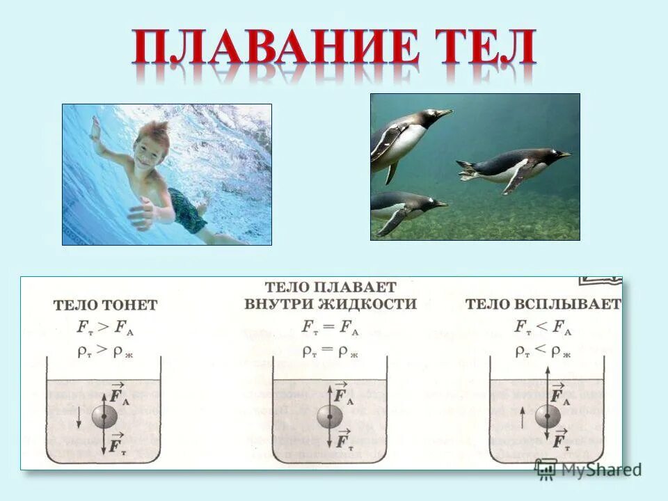 Плавание тел физика задачи с решением. Плавание тел тело тонет. Условия плавания тел в воде. Тело плавает если. Условие плавания тела внутри жидкости.