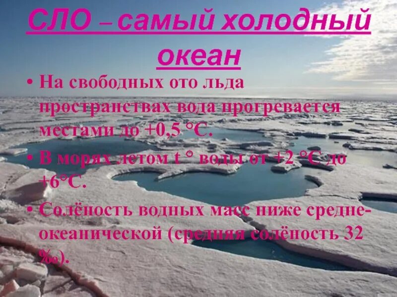 Холодно океан текст. Самый холодный океан. Самое Холодное море Северного Ледовитого океана. Соленость Северного Ледовитого океана. Рекорды Северного Ледовитого океана.