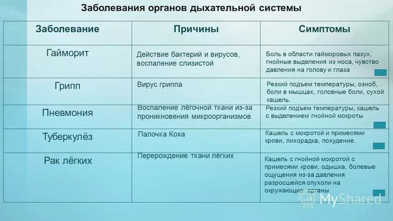 Заболевания дыхательной системы список. Болезни дыхательной системы таблица. таблица по биологии 8 класс болезни органов дыхания. заболевания органов дыхания таблица. профилактика заболеваний органов дыхания таблица.