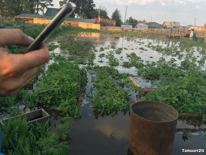 Погода шиткино иркутская область тайшетский