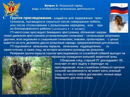 Организация розыска