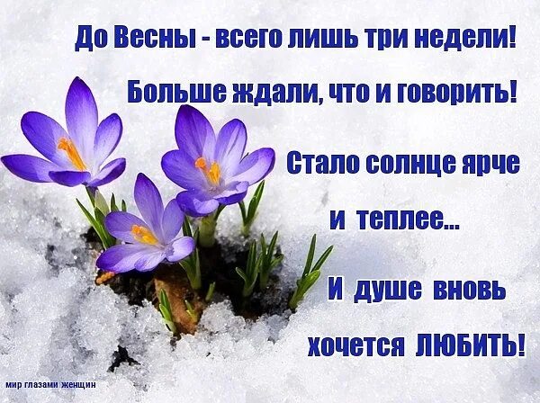 Десять лет до весны. Неделя до весны. До весны осталось. До весны 3 понедельника. Открытки до весны осталось.