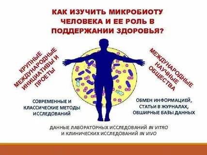 Соприкосновение человека с окружающей средой происходит