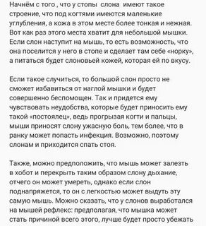 Слоны боятся мышей