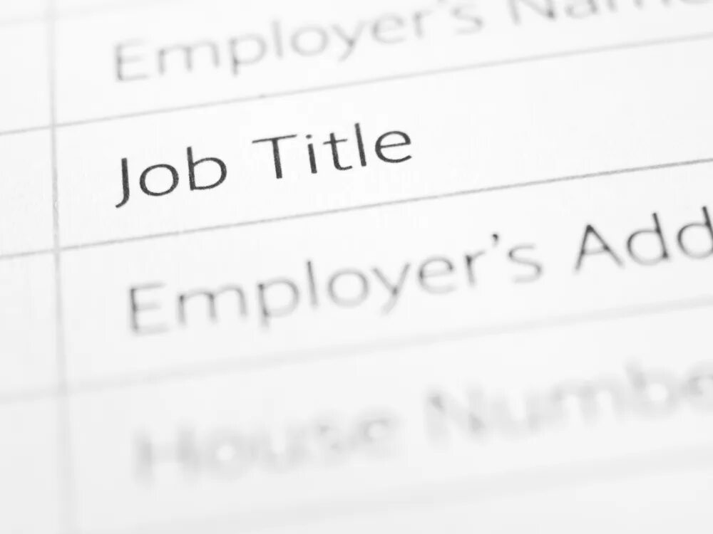 Job title name. Job title.