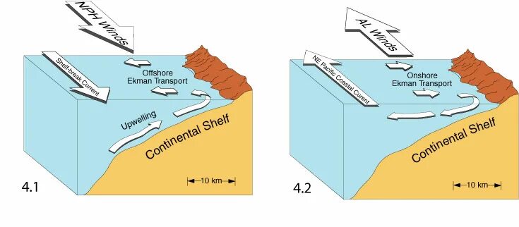 апвеллинг это в экологии. апвеллинг что это такое в черном море. апвеллинг в море. прибрежный апвеллинг. апвеллинг что это такое в черном море.