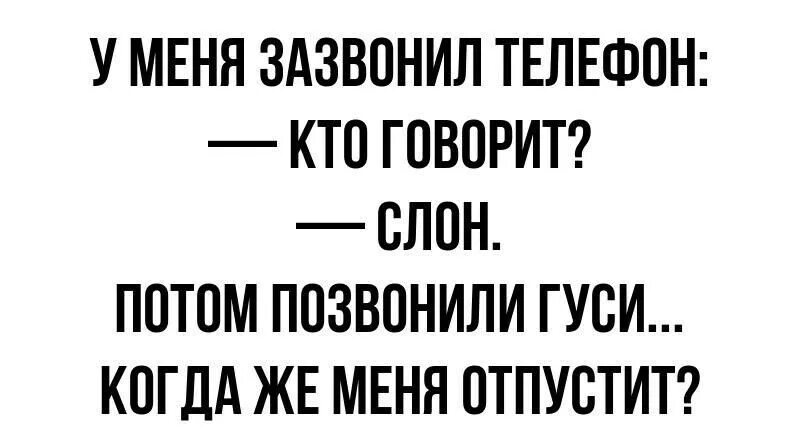 А потом позвонила свинья. У меня зазвонил телефон кто говорит. У меня зазвонил телефон картинки. Когда у училки зазвонил телефон. У меня зазвонил телефон кто говорит Макрон.