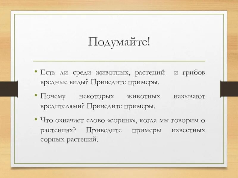 Фразеологизмы примеры. Есть смысл приводить примеры. Смысл и значение разница. Концепции смысла жизни в философии. Есть смысл приводить примеры.