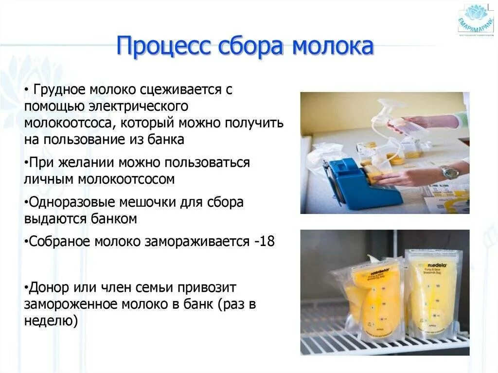 Можно ли добавлять молоко в сцеженное. Порядок сбора пастеризации хранения грудного молока. молоко анализ. хранение грудного молока. исследование грудного молока.