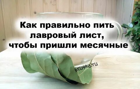 Лавровый лист для выкидыша