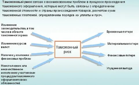 Виды таможенных рисков