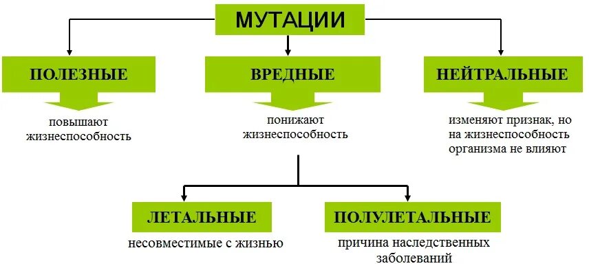 Появление рецессивных мутаций. Мутации полезные вредные нейтральные. Полезные мутации примеры. Примеры нейтральныхных мутаций. Вредные мутации примеры.