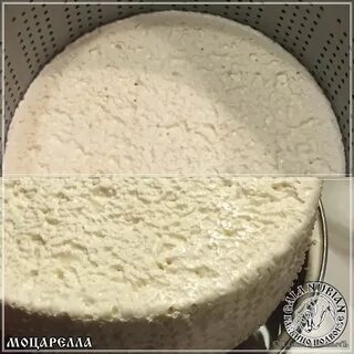 Сыр из молока с сывороткой