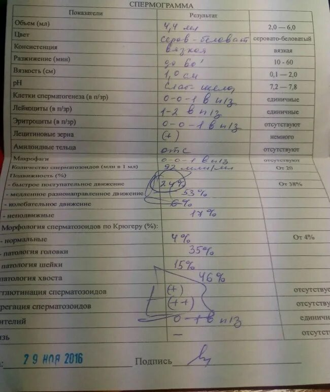 Подготовка к спермограмме. Подготовка к спермограмме