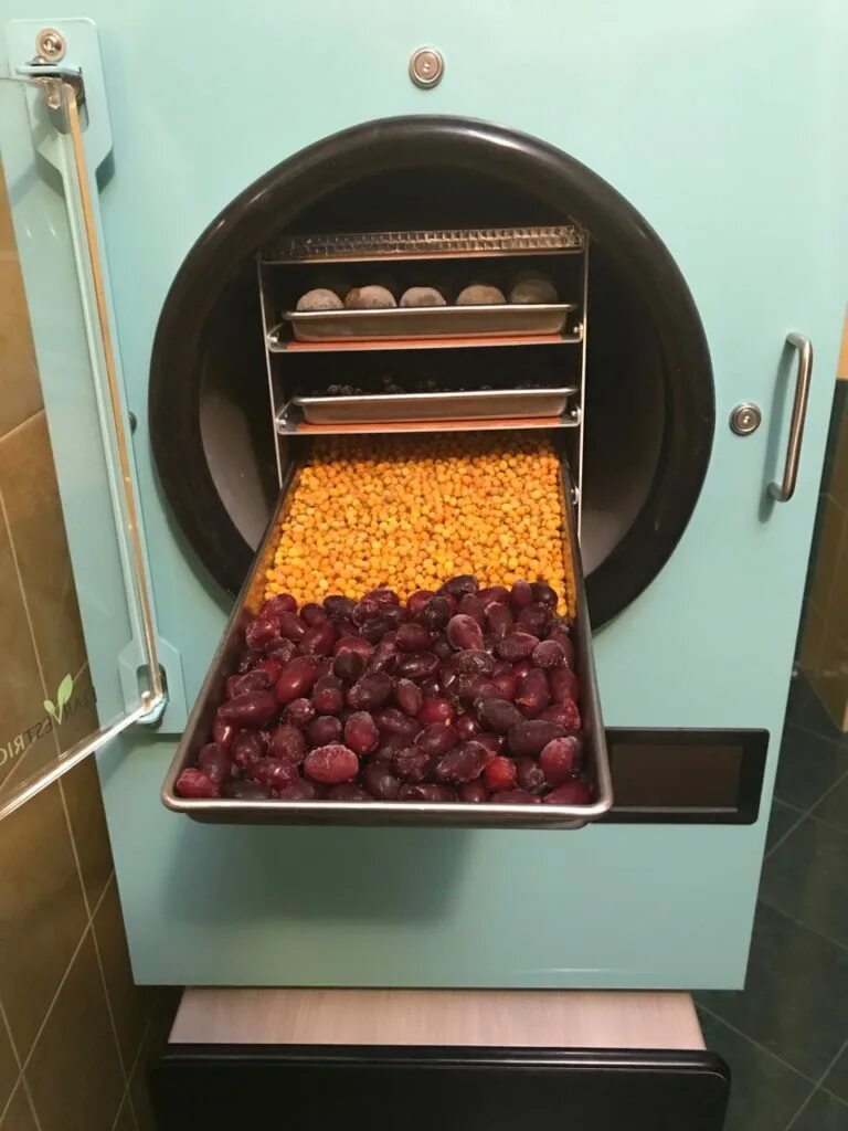 Сублимация пищевых продуктов. Сублимационная сушка пищевых продуктов. Сублимационная сушка. Сублимационная сушка мяса. Вакуумная сублимационная сушка.
