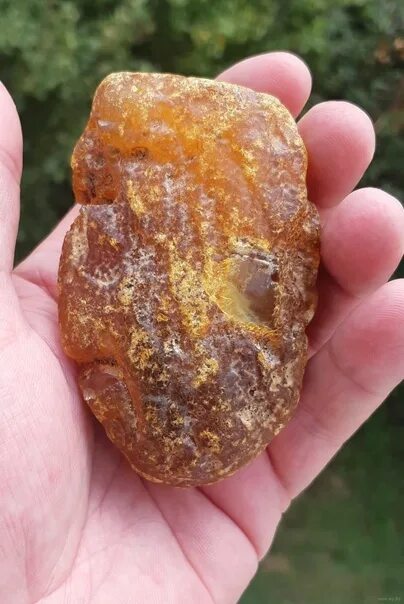 Как выглядит янтарный камень Янтарь с насекомыми Amber, Amber stone meaning, Amber stone
