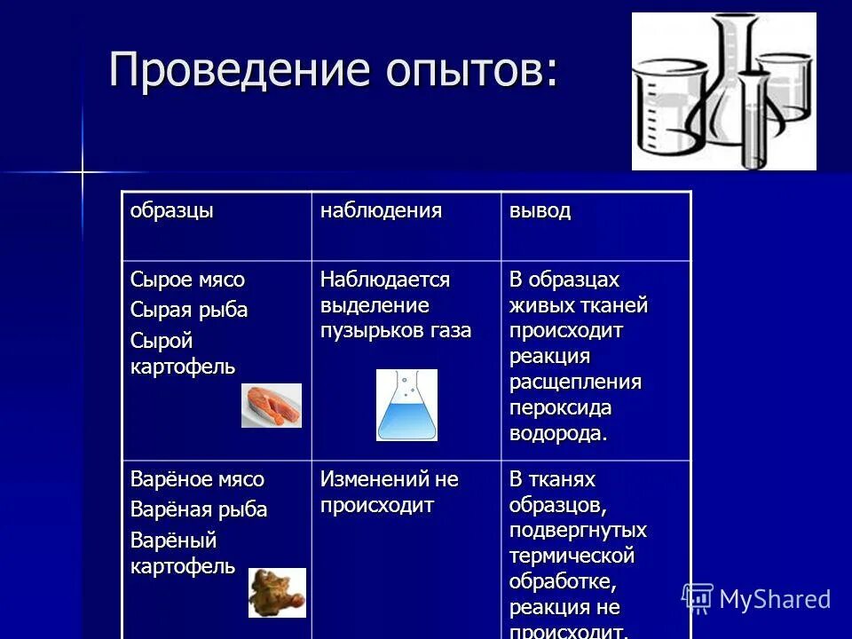 Пероксид водорода и картофель. Опыт с сырым и вареным картофелем и перекисью водорода. Опыт с сырой картошкой и перекисью водорода. Опыт с перекисью водорода и картофелем и мясом. Опыт с мясом и перекисью водорода.