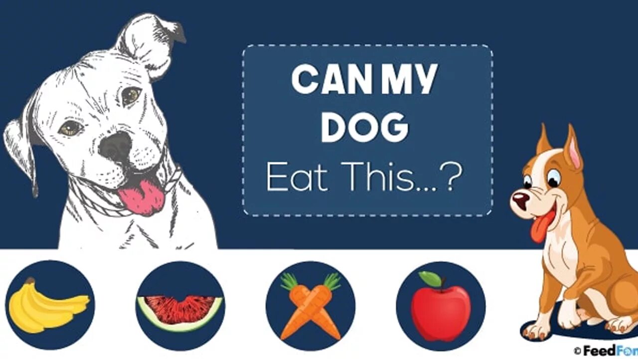 Дог дэел по английскому. Dogeat логотип. A Dog can. Кетнеп и дог дей картинки. Dogs eat перевод на русский