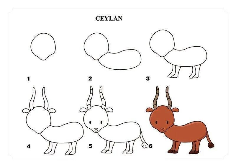 Схемы рисования животных. Рисование для детей пошагово животных. Схема поэтапного рисования животных для детей. Последовательное рисование животных для детей. Схемы рисования поэтапно