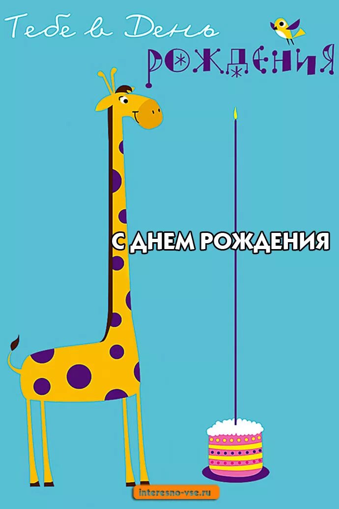 Стильные открытки с днем рождения. Креативный стикер с днем рождения. Шар фольга с днем рождения. Открытка с днём рождения. С днём рождения подросту.