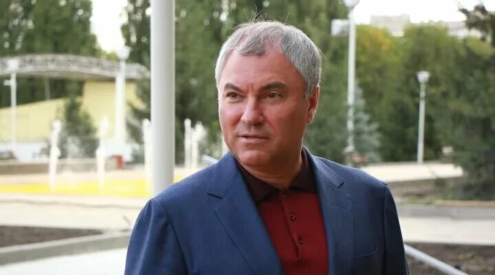 Володин саратов фото