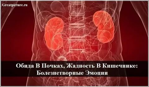 Кишечник отдает в почку