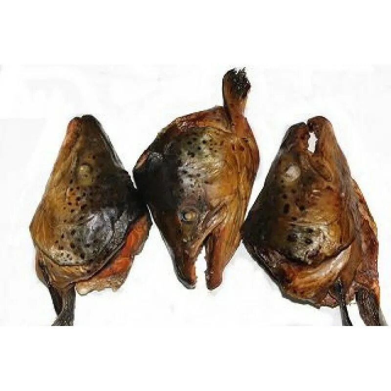 копченые головы. палтус горячего копчения. атлантический белокорый палтус. копченая голова лосося. горбуша холодного копчения.