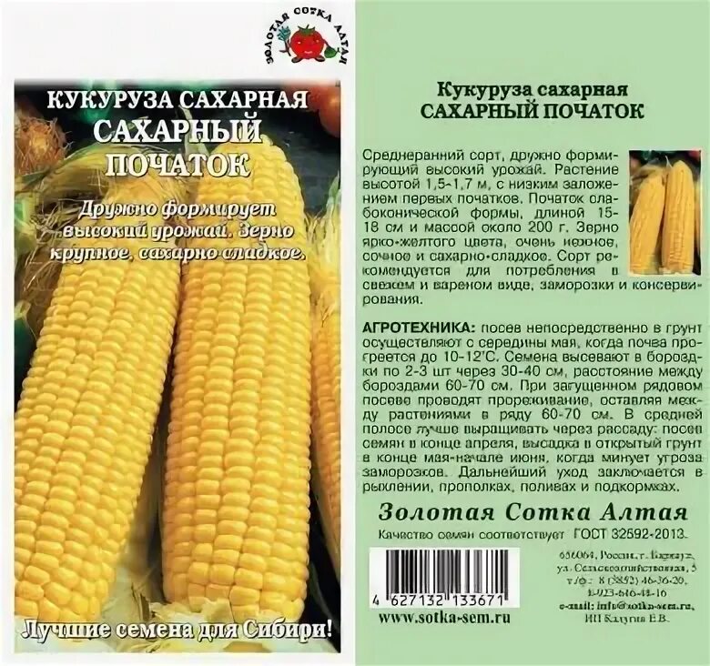 Спирит сорт кукурузы. Кукуруза. Кукуруза сколько семян. Семена кукурузы. Сколько грамм зерен в кукурузном початке.
