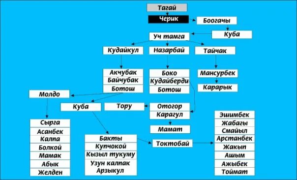 Родословная кыргызов санжыра. Родовые племена кыргызов. Санжыра. Санжыра. Родословная кыргызов санжыра.