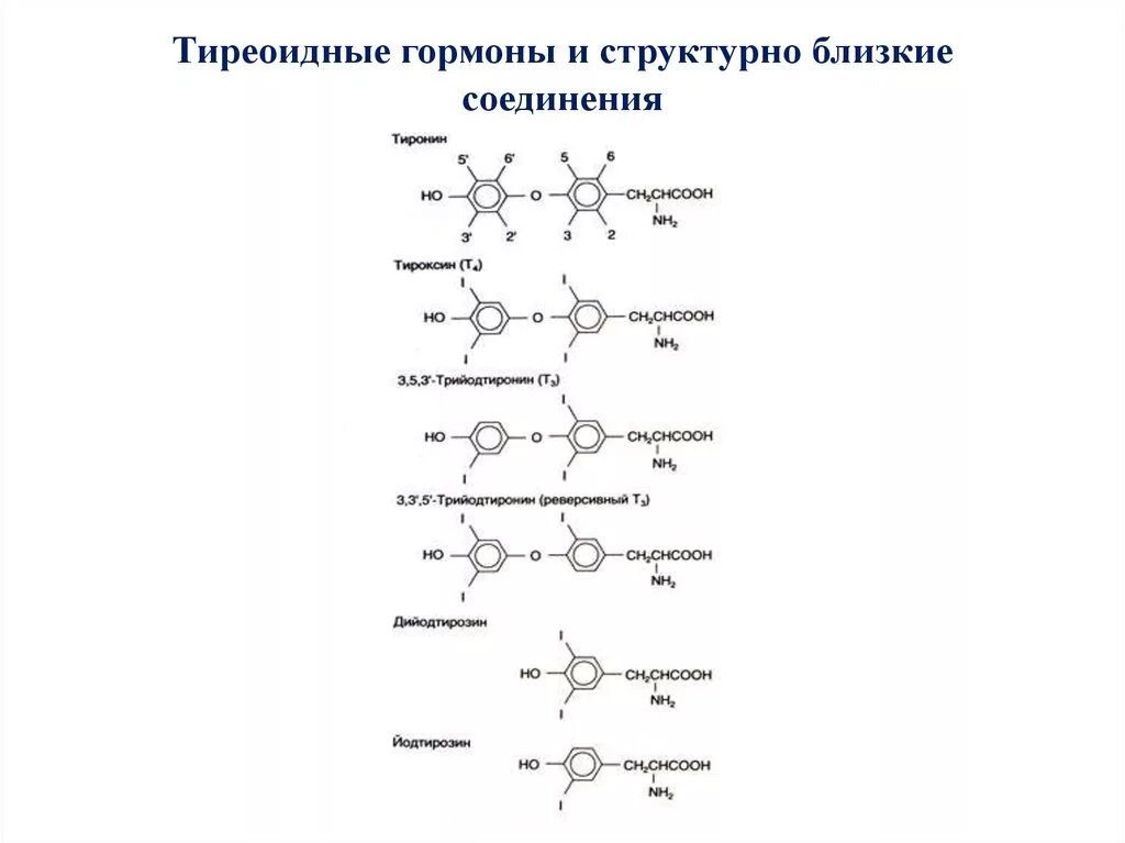 Тиреоидные гормоны химическая структура. Химическая структура тиреоидных гормонов. Строение гормонов щитовидной железы биохимия. Тиреоидные гормоны (т3, т4) химическая структура.