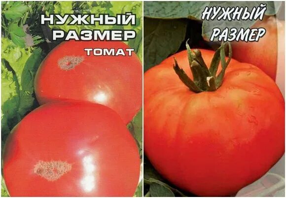 Томат нужный размер