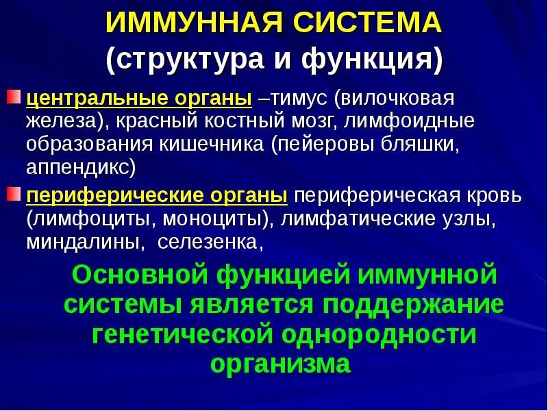 Иммунные функции выполняют. Функции органов иммунной защиты. строение и функции иммунной системы. строение и функции центральных органов иммунной системы. структура именной системы.