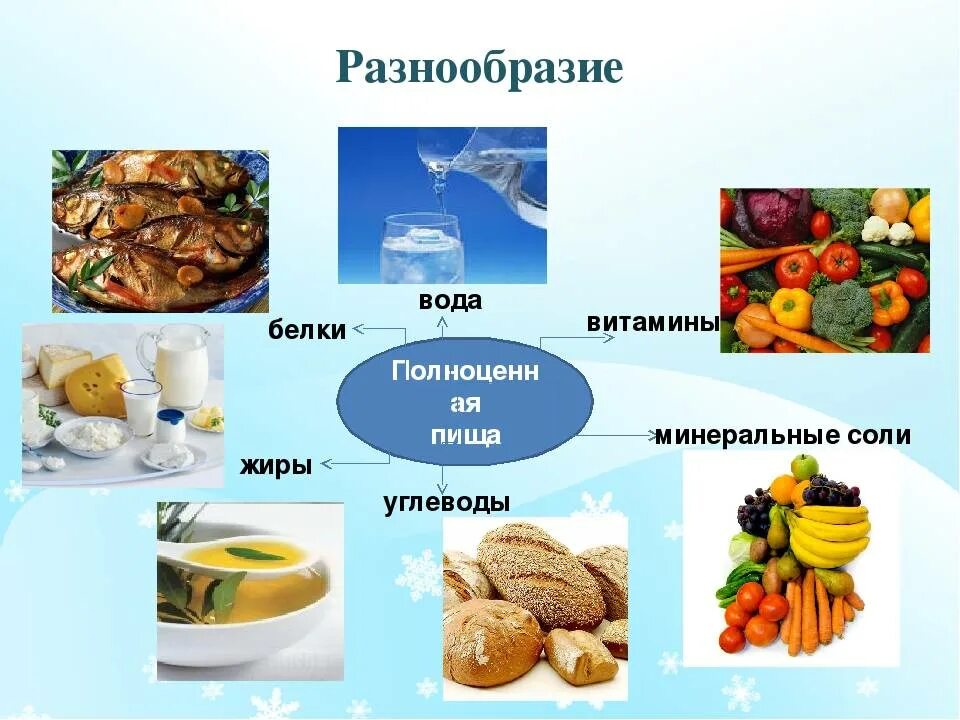 Белков и углеводов а также. Белки жиры углеводы витамины минералы. Питание. Жиры в питании. Разнообразие питания.