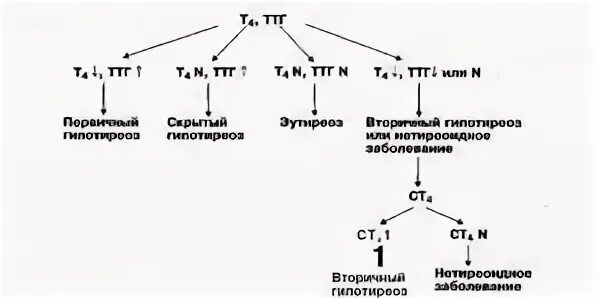 Ттг повышен это гипотиреоз. Показатели ТТГ И т4 при гипотиреозе. Гипотиреоз показатели т3 и ТТГ. ТТГ И т4 при гипотиреозе. Гормоны щитовидной железы ТТГ т3 т4 норма.