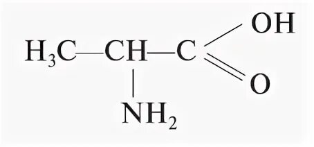 Изомеры 2-аминопропановой кислоты. Альфа аминопропионовая кислота формула. Аминопропионовая кислота формула химическая. Изомерия 2-аминопропановой кислоты.