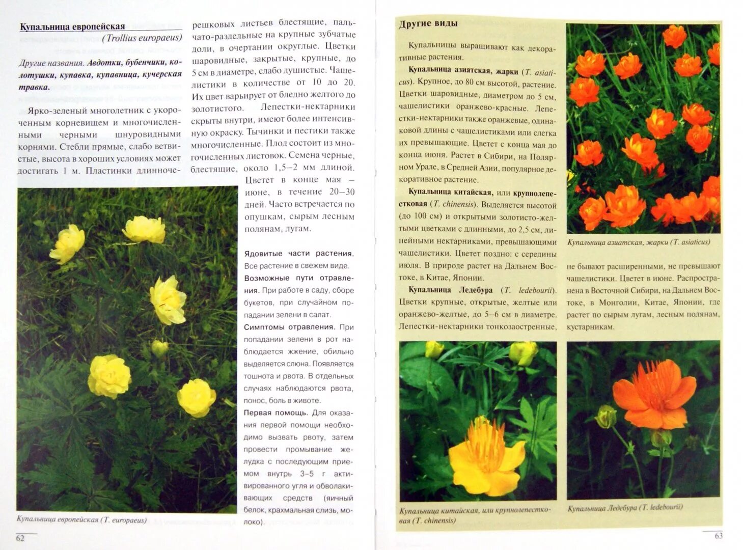 Атлас определитель ядовитые растения. Несъедобные грибы атлас определитель. Атлас определитель ядовитые растения 3 класс. Атлас от земли до неба ядовитые растения. Сообщение о ядовитых растениях.